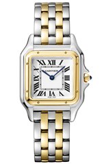 Cartier Panthere de Cartier Gold and Steel